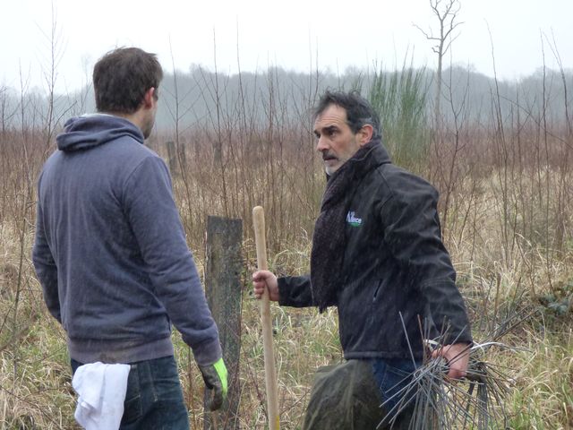 Tancrède, de Plantons pour l'avenir