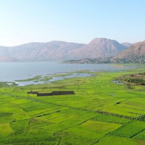 Agroforestry and forestry near Lake Itasy in Madagascar, Mahavotra