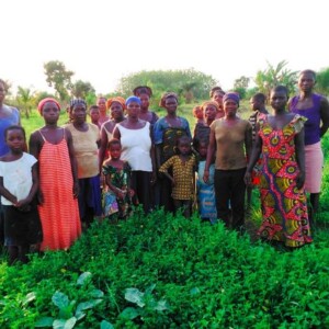 Agroforesterie et foresterie dans la vallée du fleuve Zio au Togo, Kouaxoe