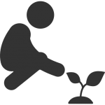 Partenaire de plantation