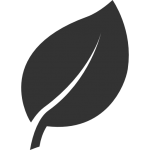 Essences plantées