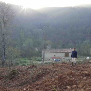 Plantation d'aulnes glutineux et de robiniers en France, Tarn