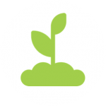 sols-green-e1527022093884 Enriched soils