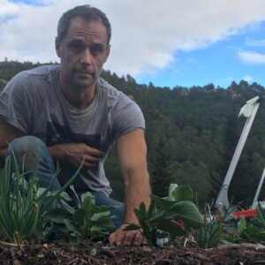 Système agroforestier chênaie truffière-blés anciens-maraîchage en France, Aude