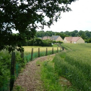 Plantation de haies bocagères par des agriculteurs en 2020, en Normandie, FRANCE