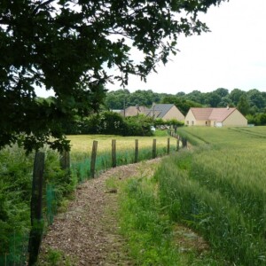 Plantation of hedgerows by farmers in Normandy 2020, FRANCE