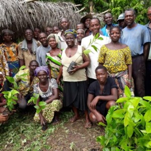 Agroforesterie et foresterie dans 10 villages de la vallée du fleuve Zio, vague 2024, au Togo