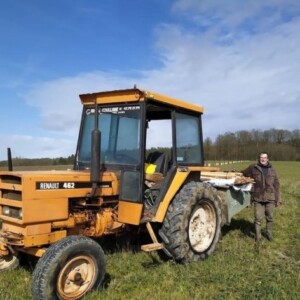 Agroforesterie au milieu des vignes, en Indre-et-Loire, France