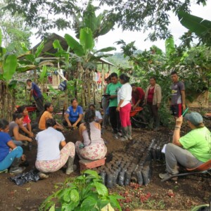Reforestation participative en Amazonie équatorienne, Tena 2023