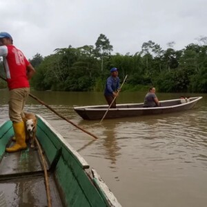 Reforestation participative en Amazonie équatorienne, Tena 2021
