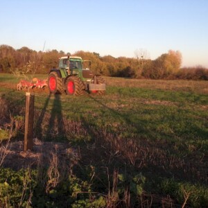 Plantation de haies autour d’une parcelle agroforestière, Vienne, France