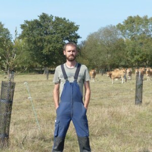 Intégrer des arbres fruitiers au sein de parcelles céréalières, en Loire-Atlantique, France
