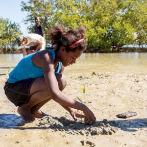 Educational mangrove planting project to restore natural resources and tackle food insecurity, Madagascar