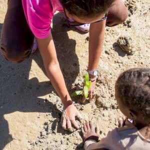Educational mangrove planting project to restore natural resources and tackle food insecurity, Madagascar 2023/2024