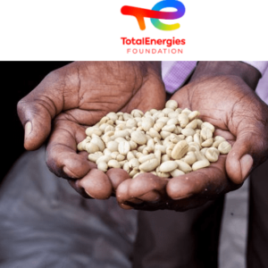 Agroforestry for sustainable agricultural practices with small coffee farmers in Kericho, KENYA