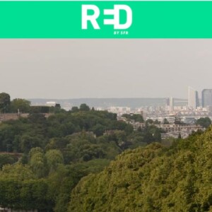 Meudon forest 2022: planting sessile oaks and various fruit trees to replace diseased chestnut trees, France