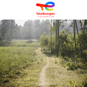 Agroforestry for sustainable agricultural practices with small coffee farmers in Sidama, ETHIOPIA