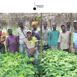 Agroforestry and forestry in 4 villages in a valley of the river Zio in Togo, planting wave 2023