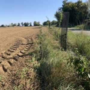 Planting hedgerows by farmers in Normandy, France 2024/2025