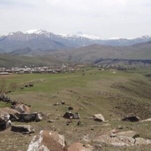 Rehabilitation of community land in Shenavan, Armenia