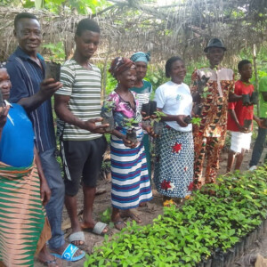 Agroforestry and forestry in 10 villages and 5 hamlets in a valley of the river Zio in Togo, 2025-2030